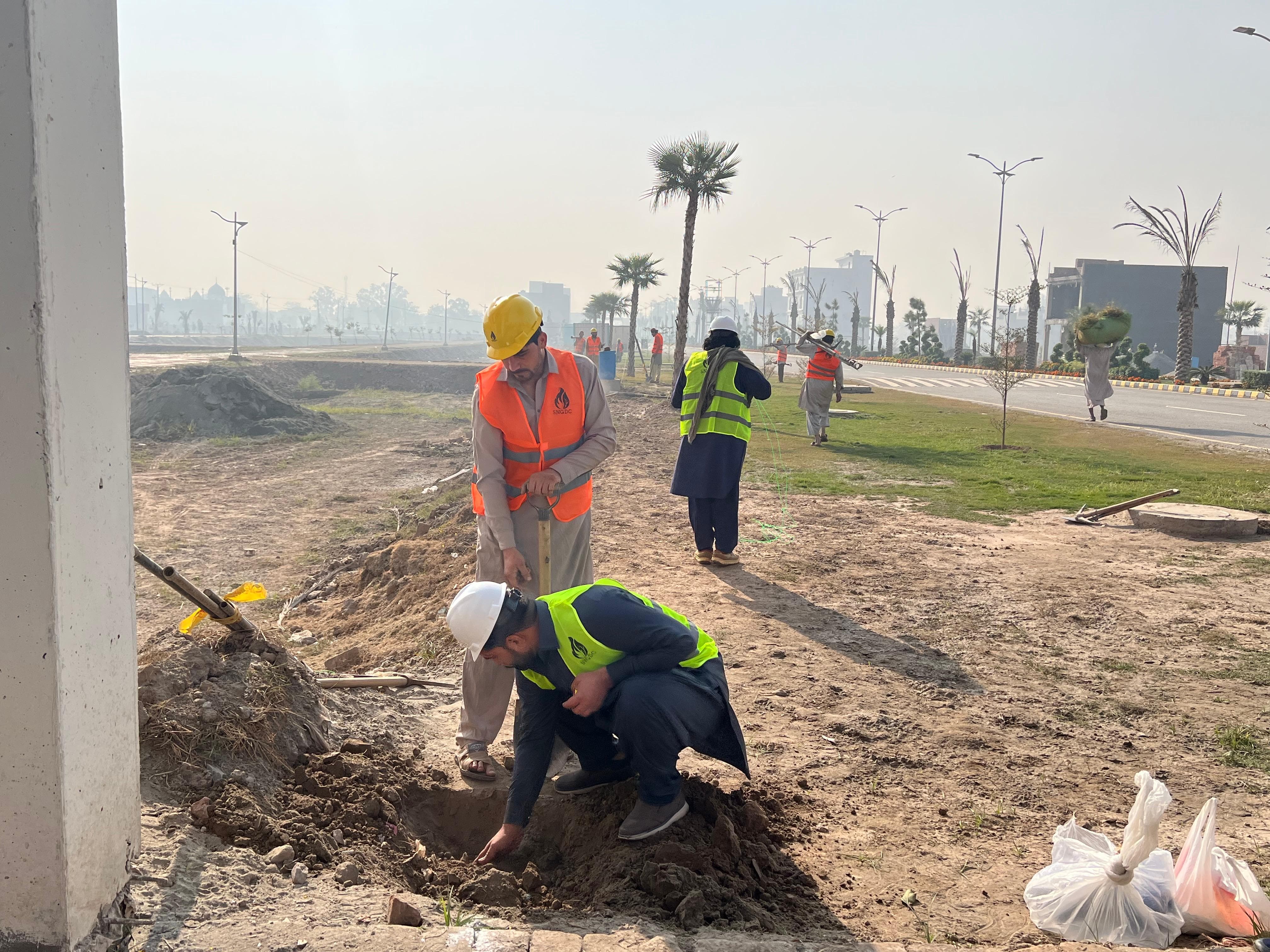 Team of workers in high-visibility vests planting trees along the main boulevard, December 2024